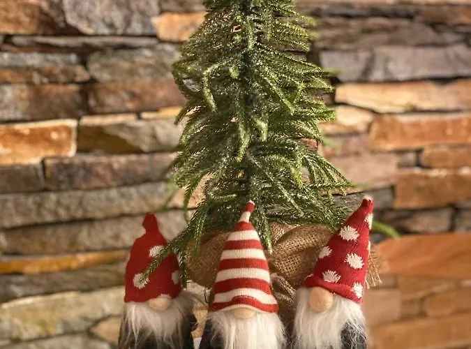 Daire Silver Kop Kopaonik