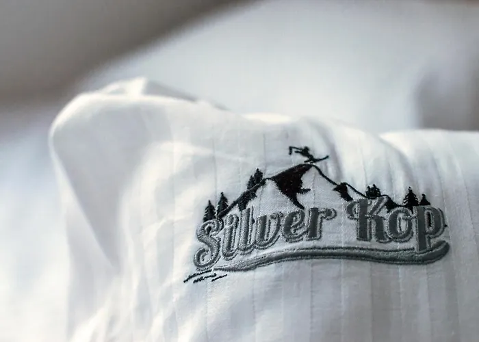 Silver Kop Daire Kopaonik