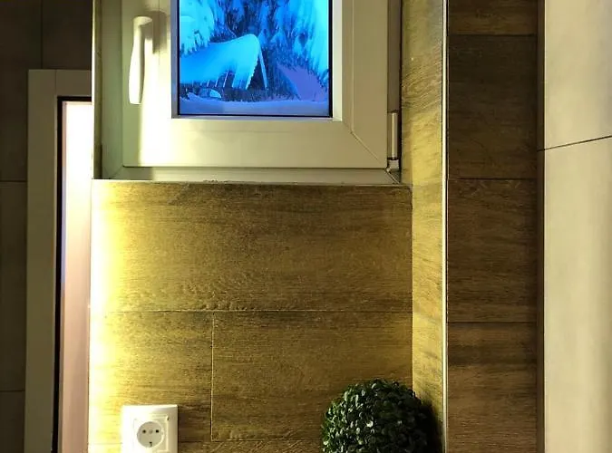 Daire Silver Kop Kopaonik